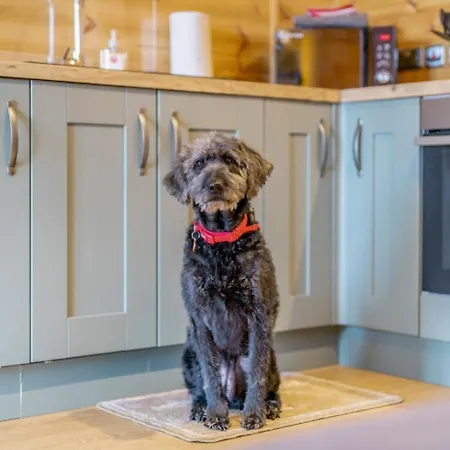 1 Bed In East Cowton Oc-W30480 別荘